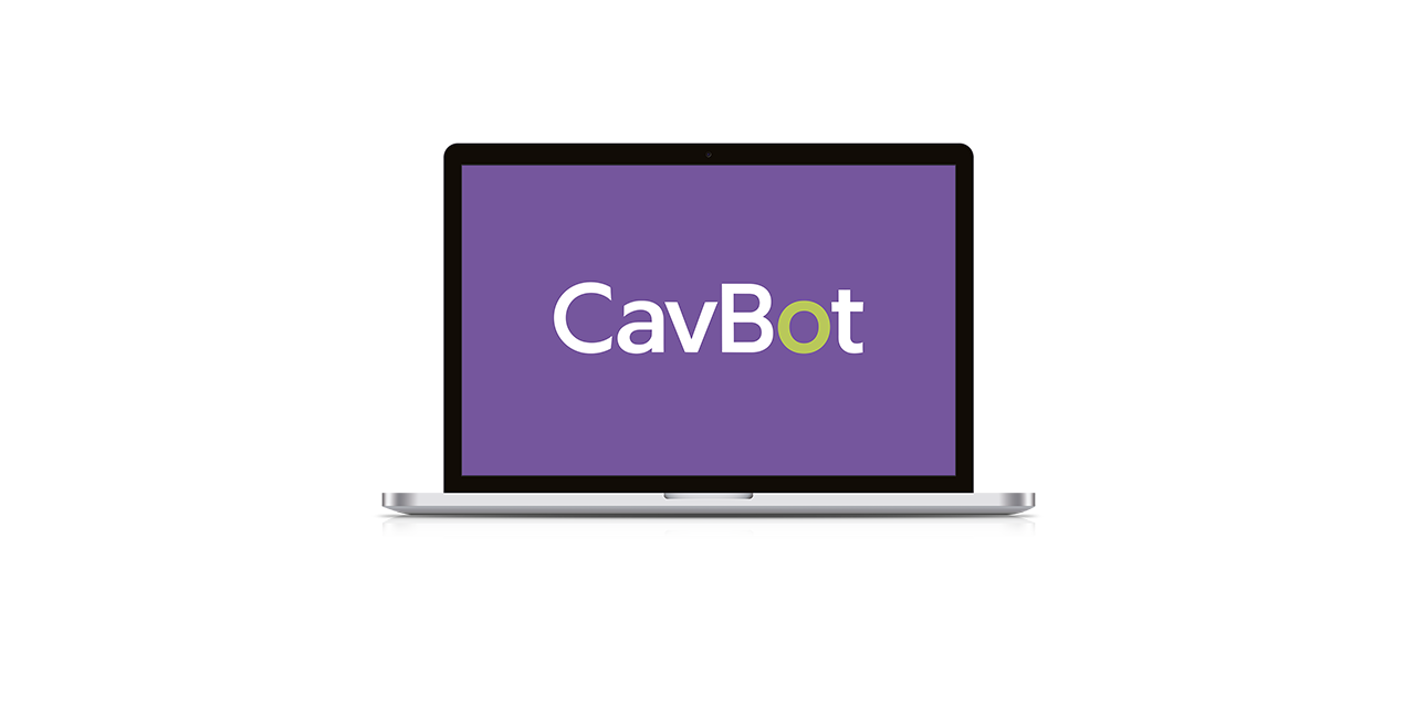 CavBot — screenshot 05